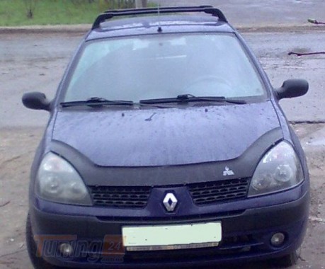 VIP Vip-Vital Мухобойка для Renault CLIO Symbol 2001-2008 - Картинка 1