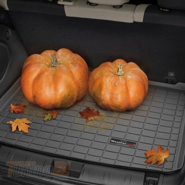 WeatherTech Коврик в багажник Weathertech для Toyota Sienna 2010-2019 черный - Картинка 3