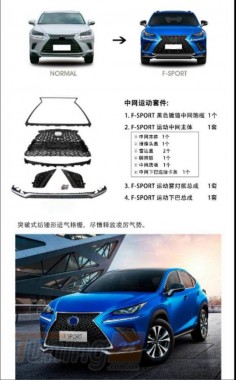 DD-T24 Передняя решетка с юбкой F-Sport на Lexus NX 2018-2021 - Картинка 3